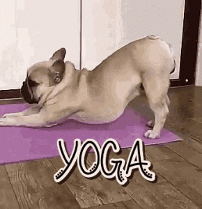 yoga 290x300 20 fun activities for when you’re staying at home